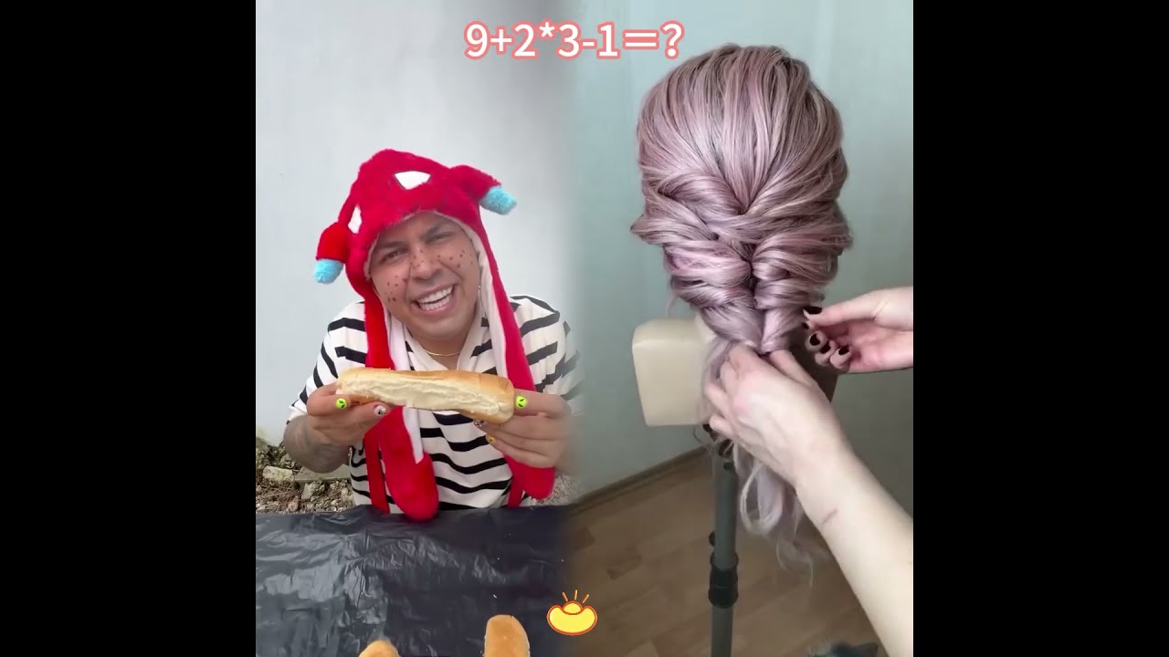  Pets Humor Lifeisbutadream Hairstyle Funny