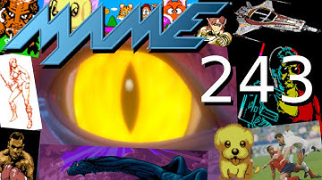 MAME 243 - What