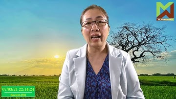 07.3."Thần y" Võ Hoàng Yên xin trả lại tiền - Vợ chồng đại gia "Dũng lò vôi" quyết tâm tố cáo