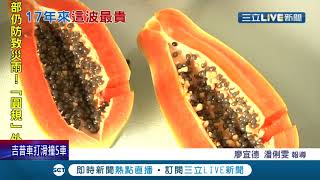 17年來最貴! 8月連續降雨重創南台灣木瓜生產.每顆木瓜價格飆破百元創新高 農會無奈表示:第一次這麼慘...│記者 廖宜德 潘俐雯│【消費報你知】20211014│三立新聞台
