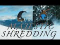 Majestic Shredding in Jasper | Boards, Beers, BERTA: E2