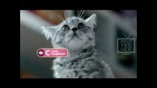 Download lagu Iklan Whiskas Malaysia TVC 2016 (ABC)