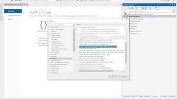 How to stop browser closing automatically when you stop debugging on VS 2022