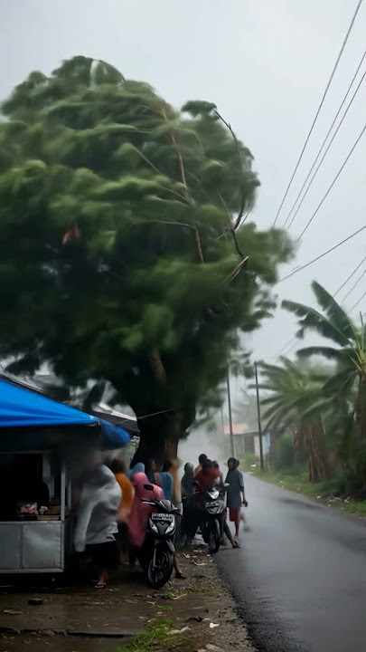 PETIR MENYAMBAR POHON MENIMPA ORANG DIBAWAHNYA  #simulasiai #ai