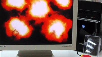 USB Stress Panic Button