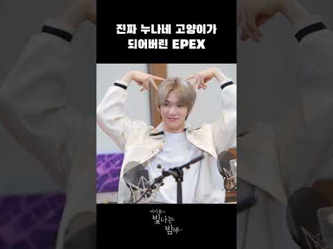 [미방분] 이 중에 네 취향 고양이 하나는 있겠지 (<strong>뮤</strong>, 위시, 제프) #shorts