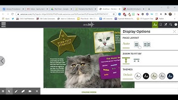 Axis 360 - Checkout and Read