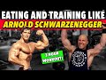 I Tried Arnold Schwarzenegger's DIET & WORKOUT For A Day! | MAD Chest/Shoulders/Triceps TRAINING!