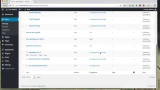 Sensible Pro - Post Navigation Exluded Categories
