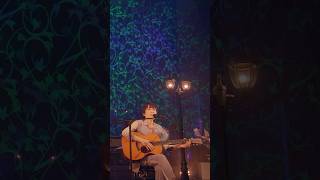 #原由子 「ヤバいね愛てえ奴は (Live at 鎌倉芸術館, 2023)」 #初のライブ映像作品 #Shorts