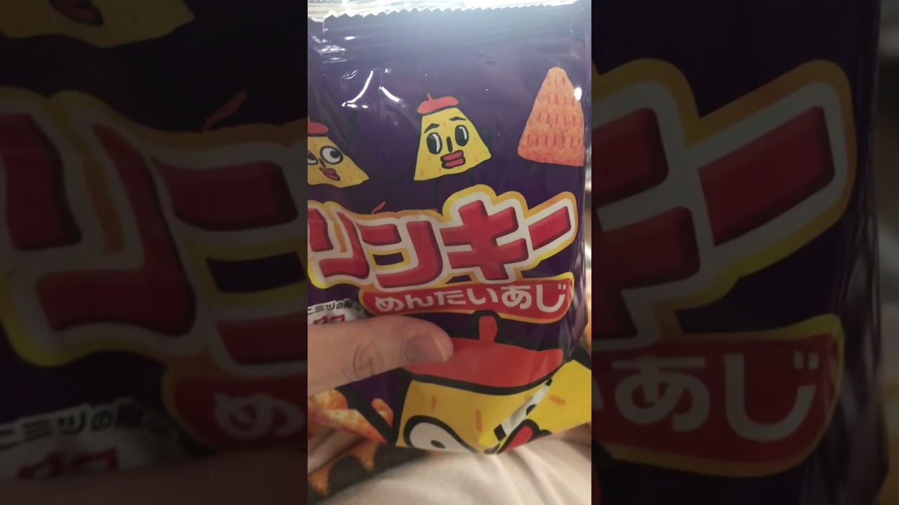 チワワ ポリンキーのめんたい味は最強説 Shorts Youtube