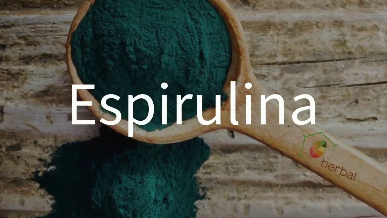 Alga Espirulina, ¿Qué es?, Propiedades y Receta. YouTube