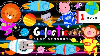 Galactic Bash! Animals Have Fun In Space On Rockets | Planets Sensory Stimulating Videos For Babies