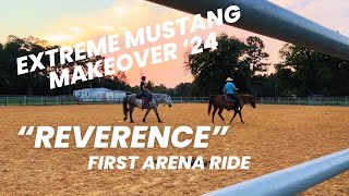 Reverence first ride in an arena! EMM 2024