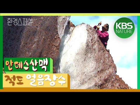 안데스의 천둥새 콘도르! 환경스페셜 ‘태양과 얼음의 전장 안데스’/ KBS 20120104 방송