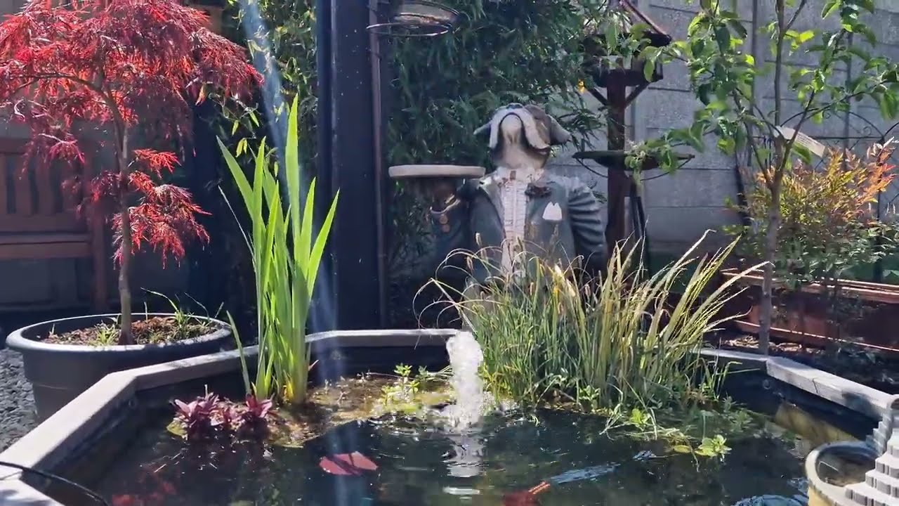 POPOSOAP, Biling 20W Solar Pond Filter Kit with Pump for Garden Pond Review, Part Two