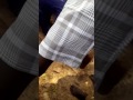 Kabarin Baba Umar Ladan Gwandu Wanda Yarasu A U Sarki Musulmi Kaduna 