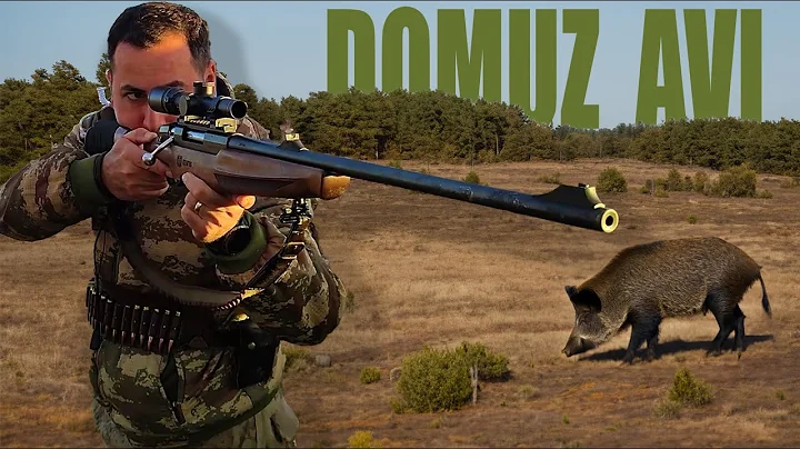 DRONE İLE DOMUZ AVI #djimavic2zoom #wildboarhunt #avcılar #wildboar # #yabanhayat #yabandomuzu #dog#