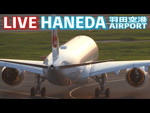 馃敹LIVE馃摗 '25/8/26 缇界敯绌烘腐 T1 HANEDA INTERNATIONAL AIRPORT plane spotting