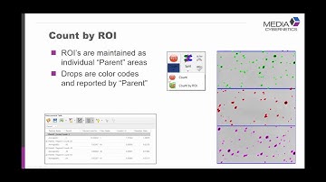 Image-Pro Tips : 利用Count by ROI工具一次計算多個選取區域