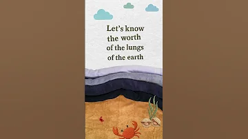 The Lungs Of Our Earth World Oceans Day 2025 