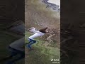 اجمل مسيقئ استكان نغمة رنين اذا عجبتك الفديو لاتنسئ لااشتراك بل القناة يرحم والديك