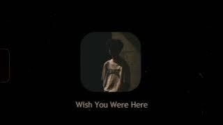 Wish You Were Here (slowed   reverb) | Dhanju | Bir | Daaku | Visualizer