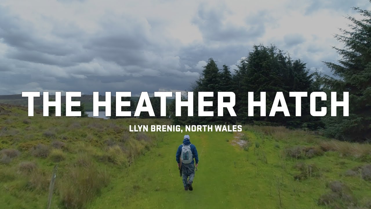 The Heather Hatch - DRY FLY FISHING HEAVEN | Llyn Brenig North Wales