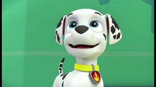 Paw Patrol Tribute Umbrella