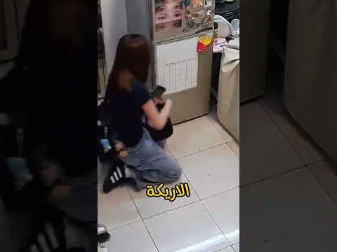 لحظة مؤثرة القطة تعر ف صاحبتها على صغارها