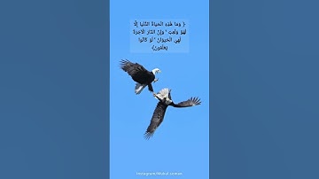 ﴿ وَمَا هَٰذِهِ الْحَيَاةُ الدُّنْيَا إِلَّا لَهْوٌ وَلَعِبٌ ۚ و#القارئ الشيخ ياسر الدوسري