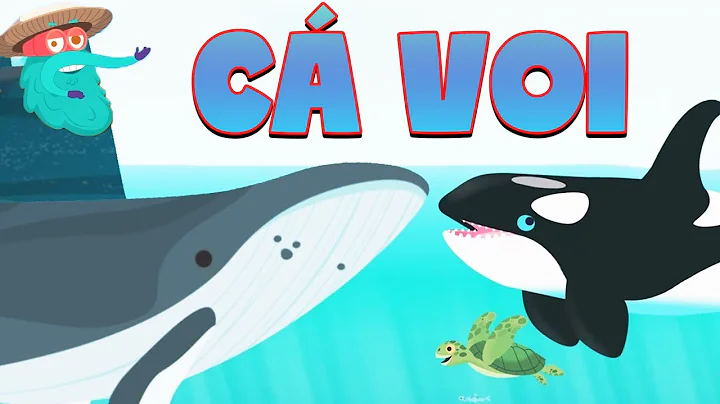 Bí mật TUYỆT VỜI về NHỮNG CON CÁ VOI| Vương Quốc Kiến Thức Của Binocs