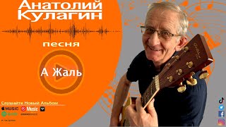 Анатолий Кулагин - А Жаль chords