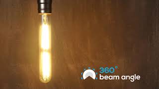 LED T10 Tubular bulb / UL Listed Decorative Vintage T30 Bulb