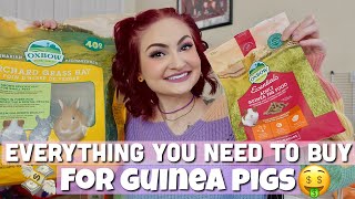 GUINEA PIG BUYING GUIDE