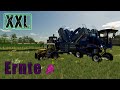 Fs22  xxl farm trauben ernte  multiplayer  timelapse  farming ecke  elmcreek