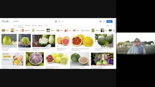 フォーム2：読解とエラー訂正