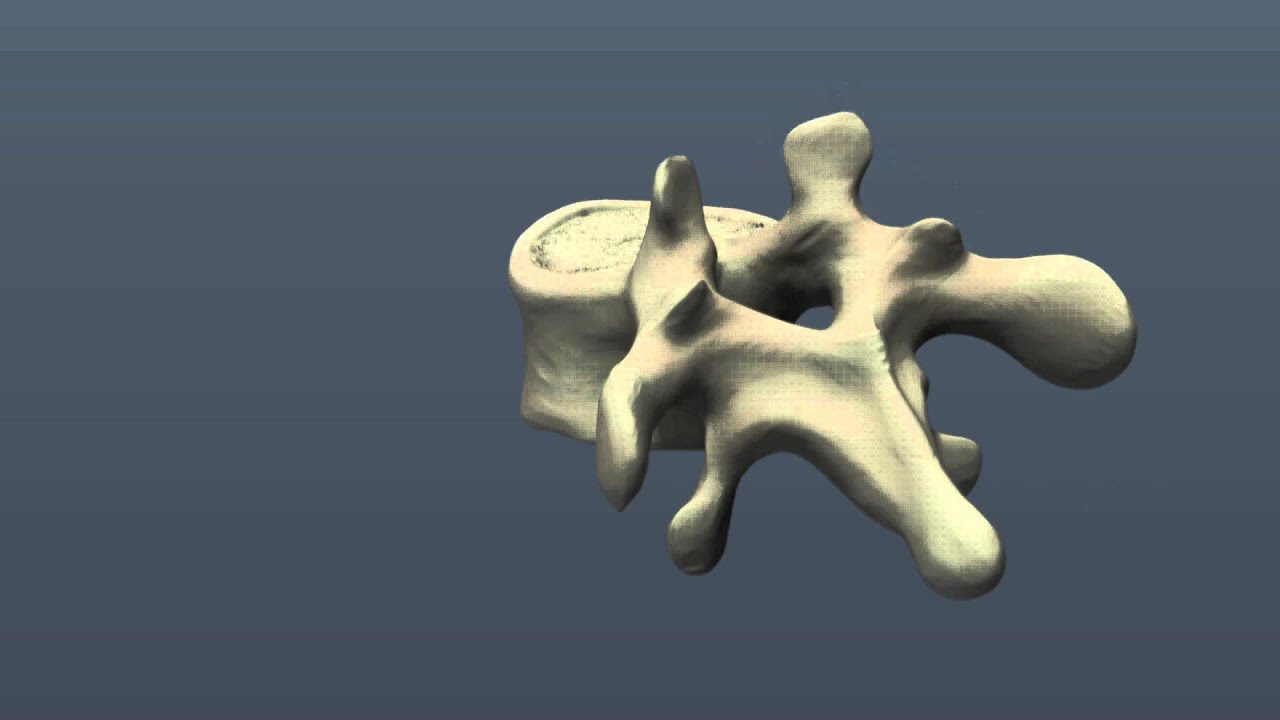 3d coat paint objects 3d coat paint objects