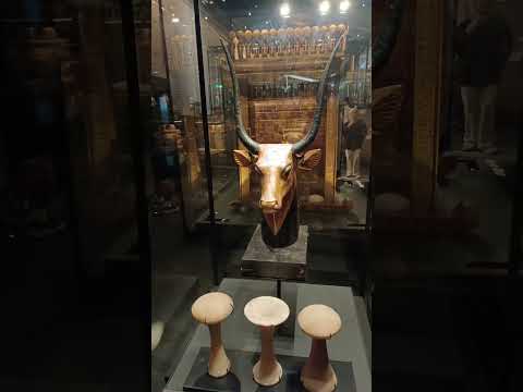 Das Grand Egyptian Museum & die Pyramiden von Gizeh an einem Tag erleben