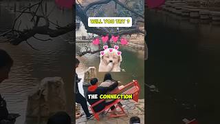 CHINESE COUPLE BENCH 🤯👄🫶🏻 #shorts #usa