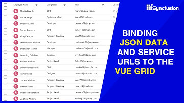 Binding JSON Data and Service URLs to the Vue DataGrid