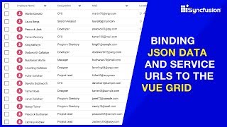 Binding JSON Data and Service URLs to the Vue DataGrid