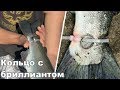 НЕОБЫЧНЫЙ УЛОВ НО ЗАГАДКУ РАСКРЫЛ ОДИН РЫБАК.