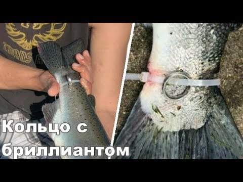 НЕОБЫЧНЫЙ УЛОВ НО