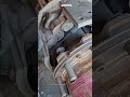 tactical way to deal with loose wheel house #technique #ideas #mechanical #restoration