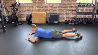 Crocodile Press Up