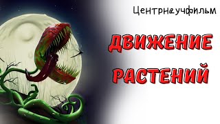 Движение растений. Тропизмы и настии (Центрнаучфильм)