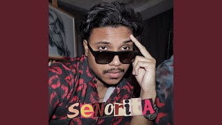 Download Lagu Senorita Download Lagu Senorita