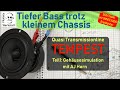 #TRANSMISSIONLINE #DIY | Wie zaubere ich tiefen Bass aus einem 4" Breitbänder? | mit AJHorn Simu !!