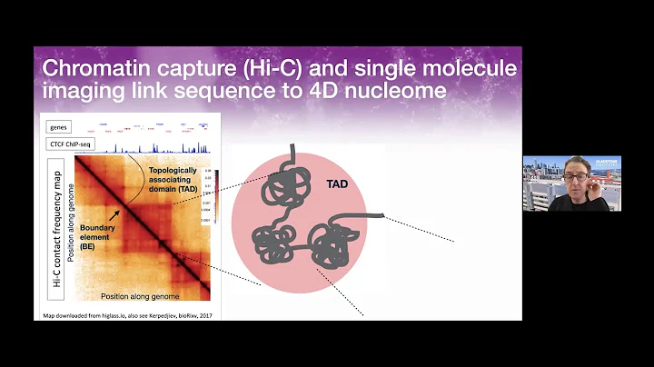 CCMB Seminar 02/17/2021- Katherine S. Pollard, PhD